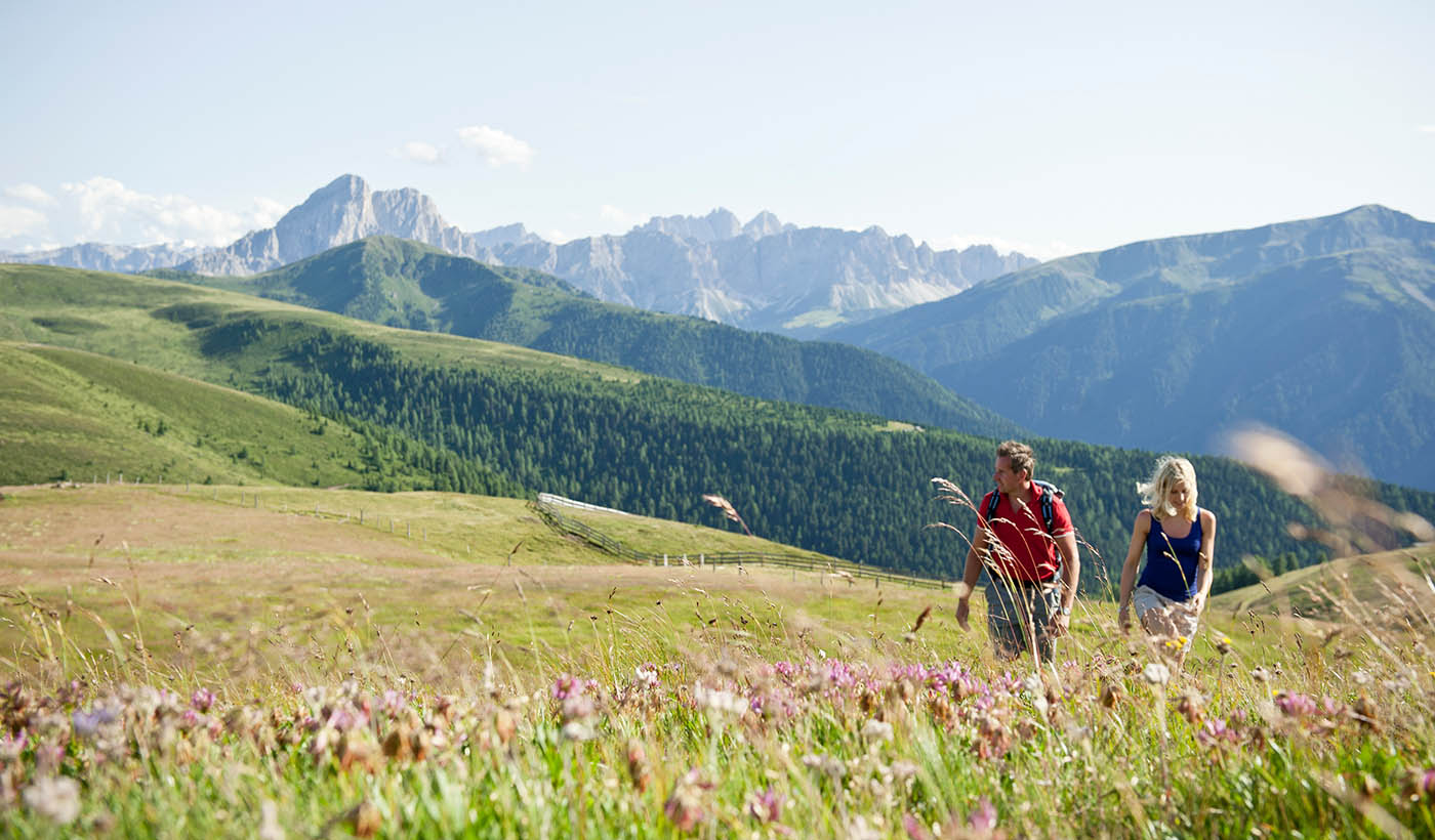 In Südtirol wandern und genießen Erholt nach Hause kommen Paradiesisch wandern auf der Rodenecker Alm